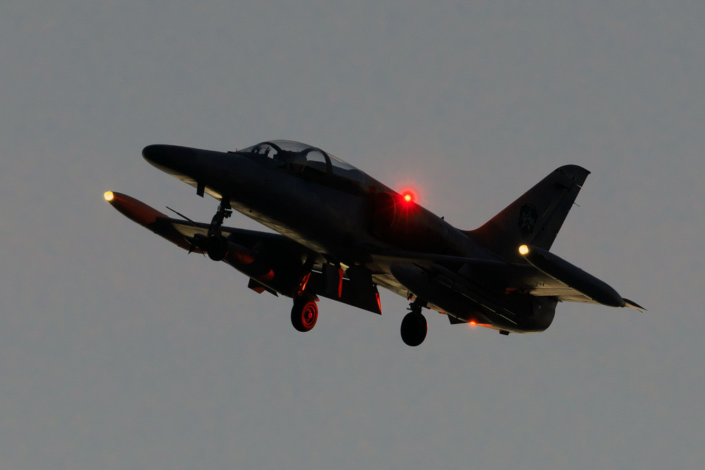 Nellis Air Force Base Red Flag 20-1　その30