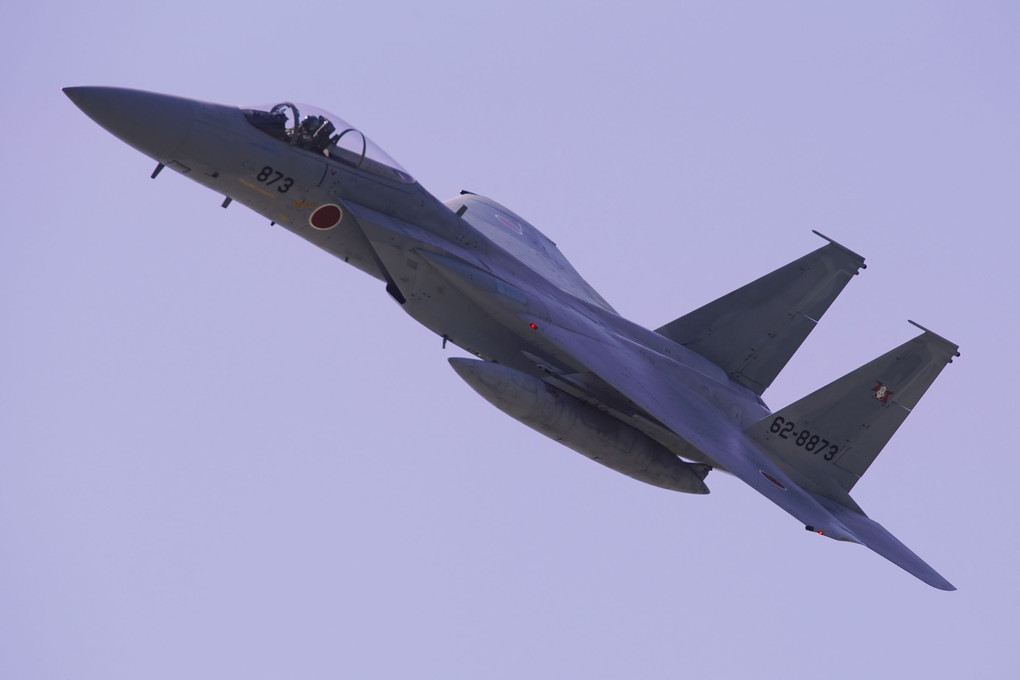 2019千歳基地航空祭  F15機動飛行　その３
