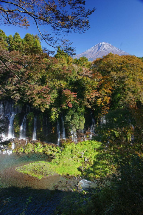 富士山白糸の滝19-02（静岡）