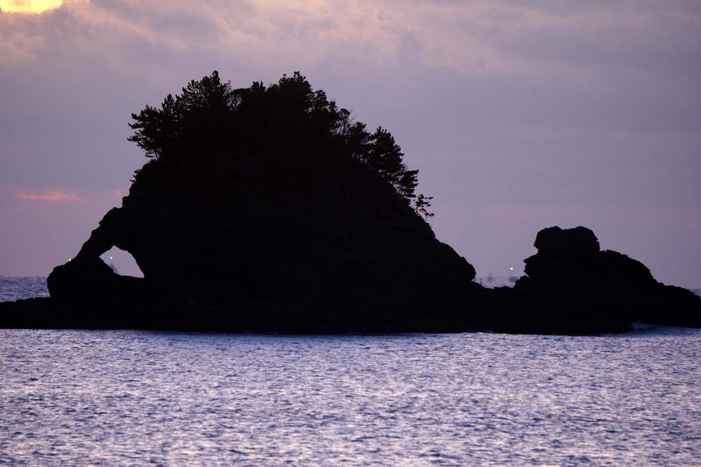 鯛島22-02α（和歌山）