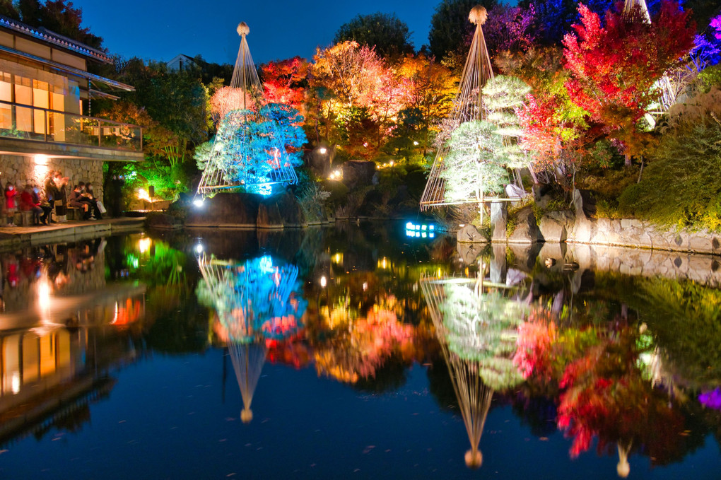 めじろアートナイト「庭園の紅葉ライトアップ」＠目白庭園