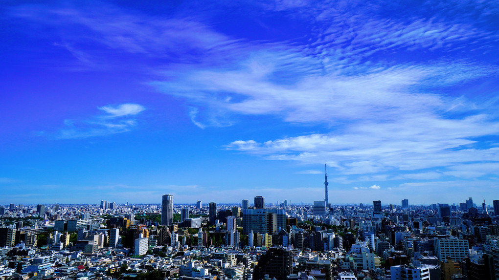 空と東京スカイツリーの眺望　文京シビックセンター