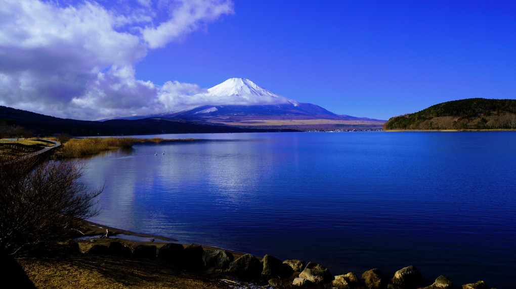 山中湖からの富士山 冬景色