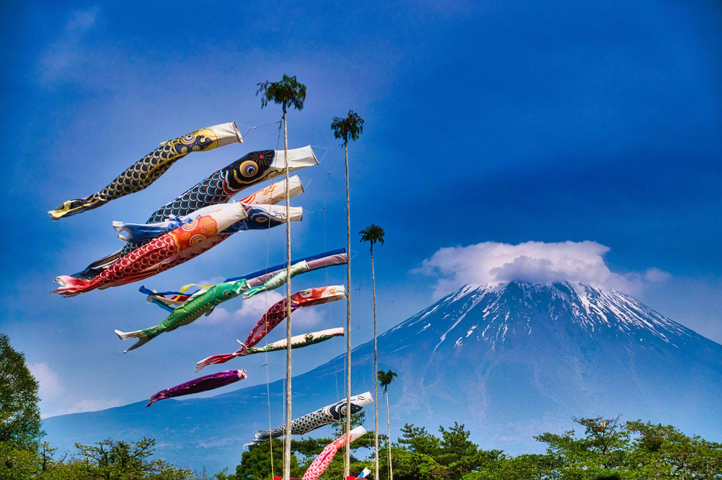鯉のぼり ＶＳ 富士山【STAY HOME】