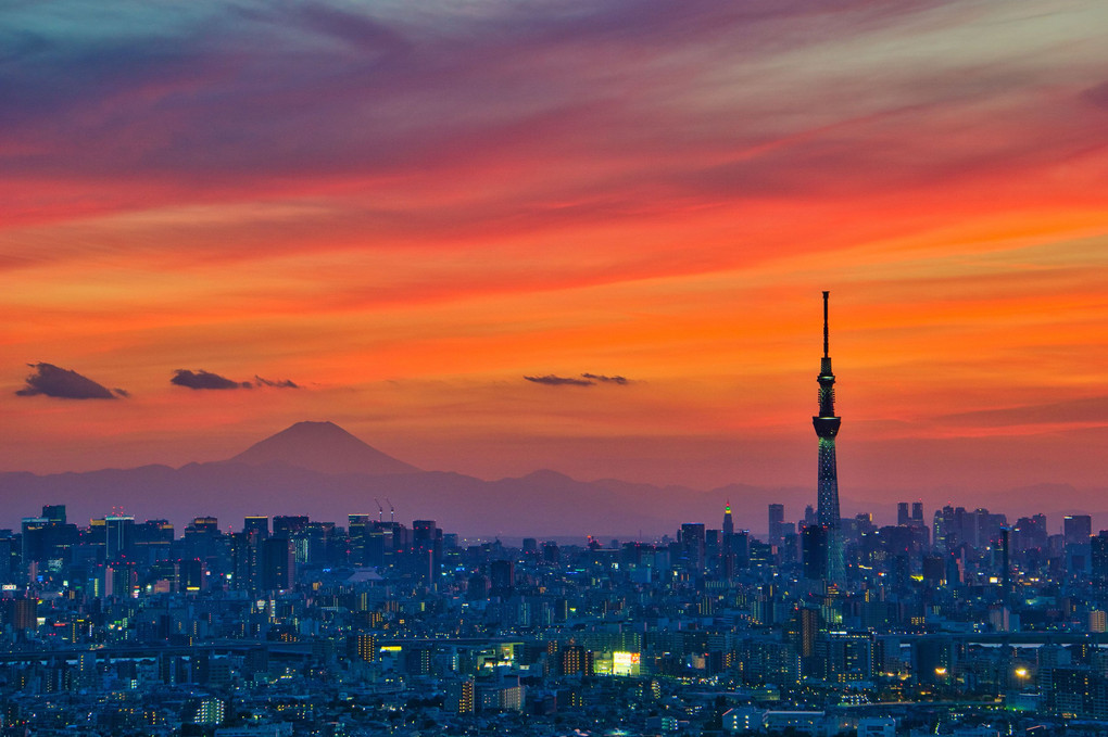 夏の日の思い出・富士山と東京スカイツリー夕景＆夜景
