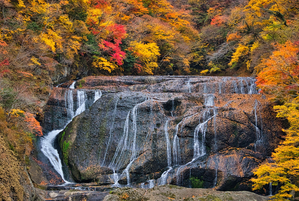 日本三名瀑・紅葉:袋田の滝　#カレンダー2024