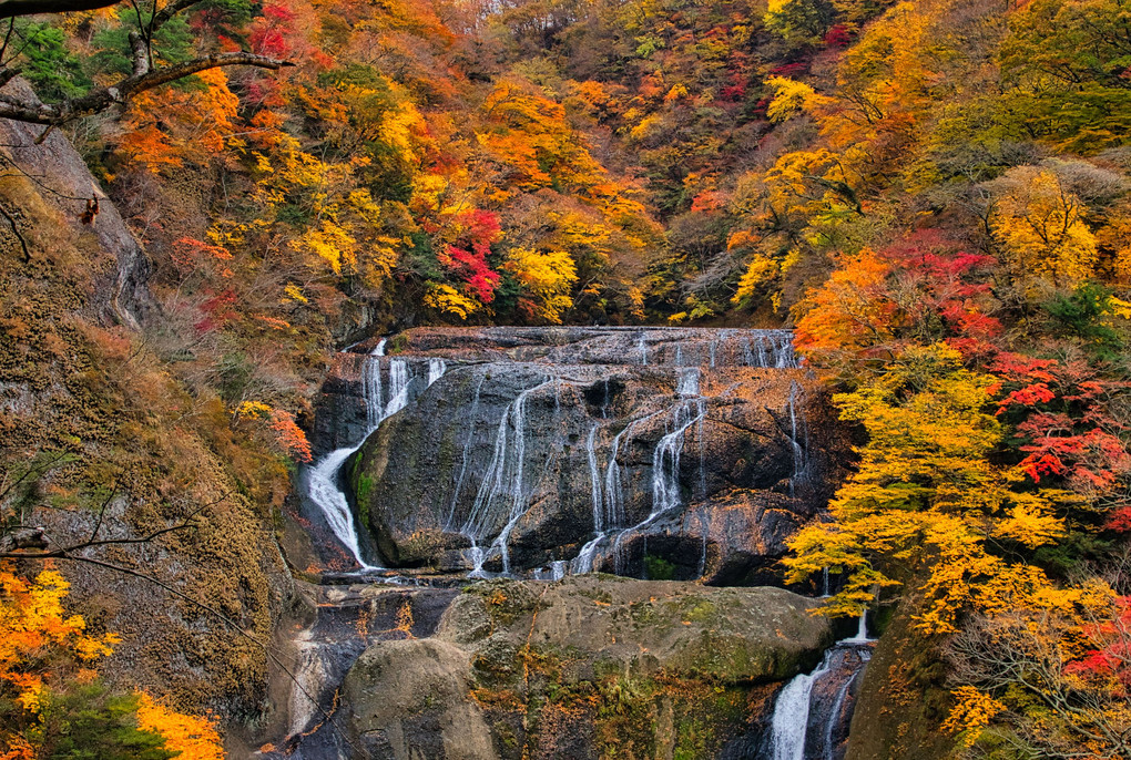 日本三名瀑・紅葉:袋田の滝(NOBUさん) | αcafe αの写真投稿サイト ｜ ソニー