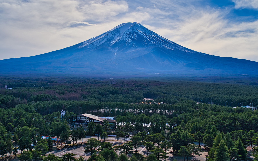 裾野の原生林と初冬の富士山