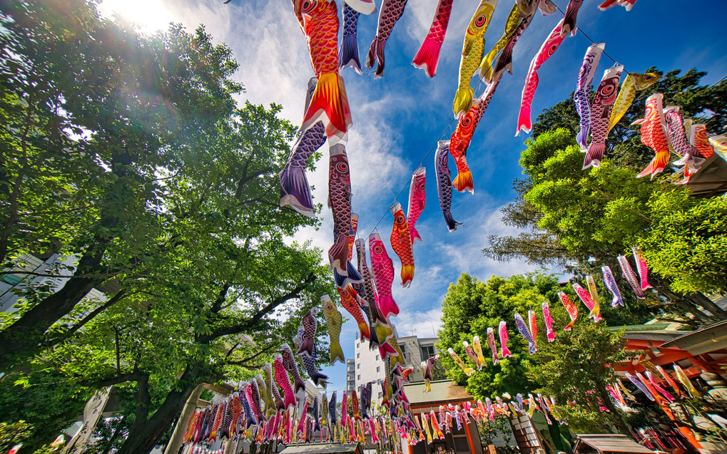 熊野こいのぼり祭＠熊野神社