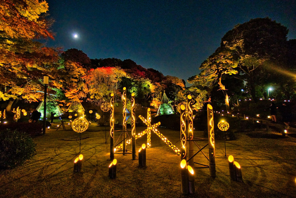 秋の紅葉ライトアップ「ひごあかり」文京区・肥後細川庭園