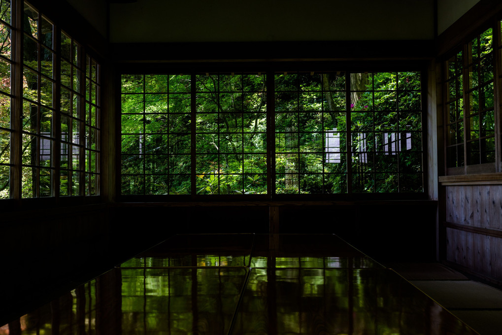 新緑の大興善寺