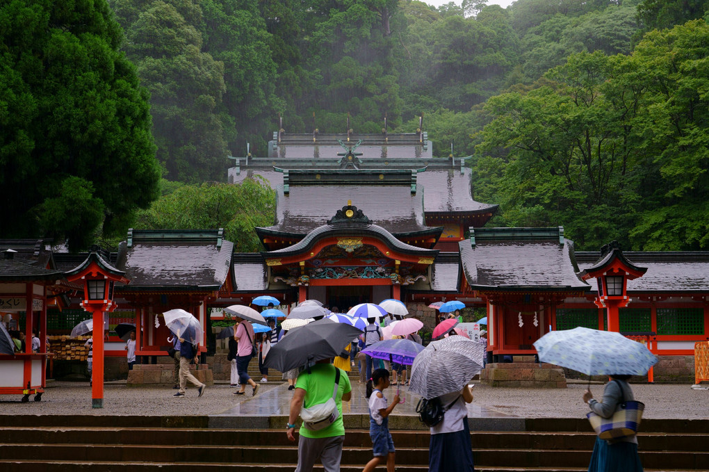 雨の霧島神宮