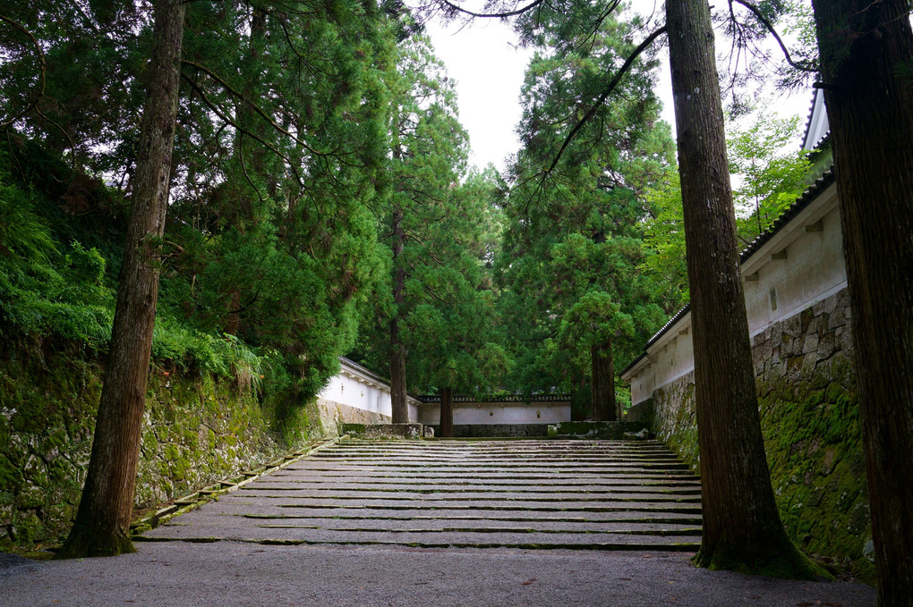 飫肥城下町