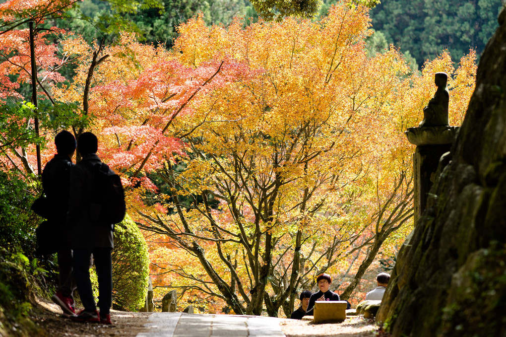 山寺の秋