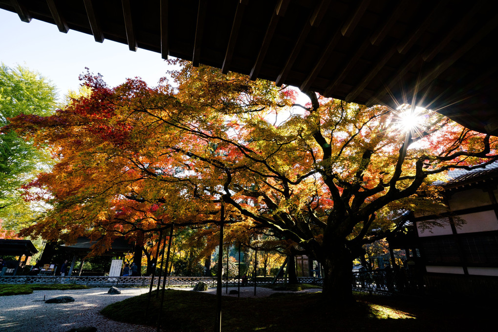 山寺の秋