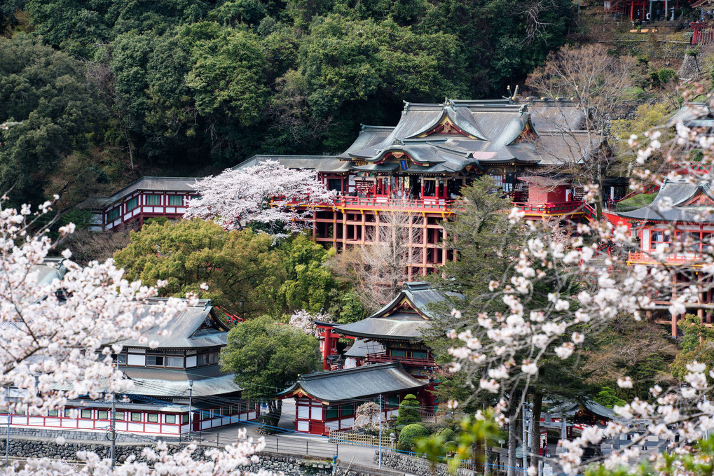 祐徳稲荷神社