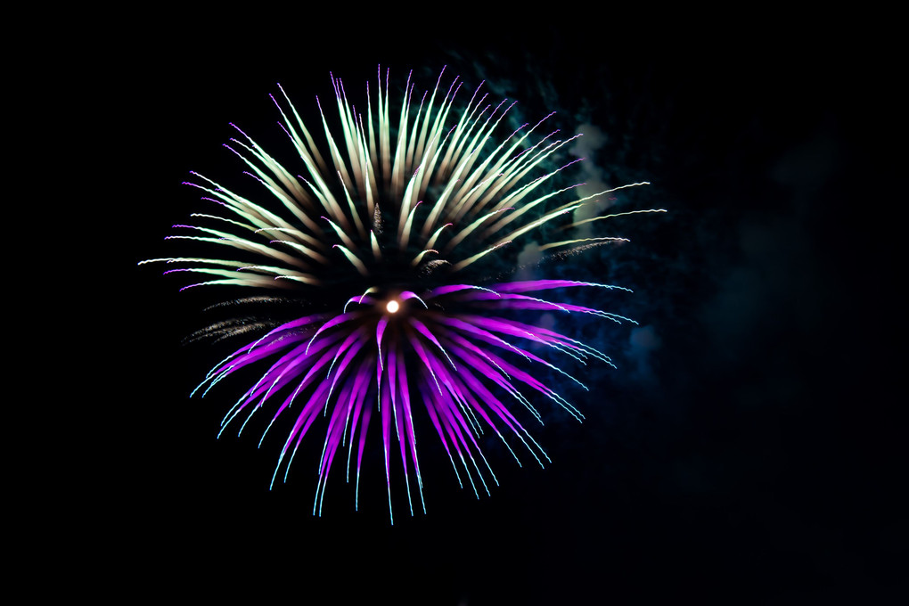 夜空に咲く華たち 2016