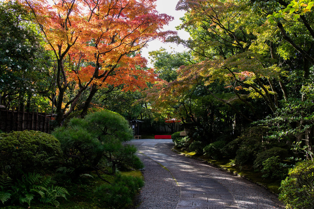 友泉亭公園