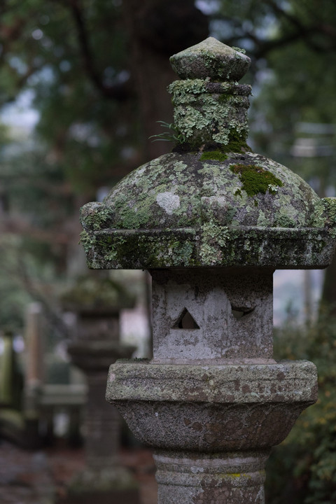 櫻井神社