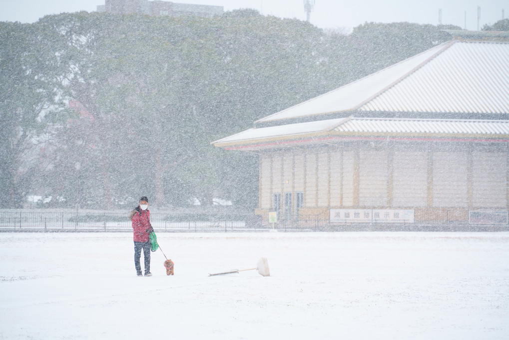 福岡城跡雪景色