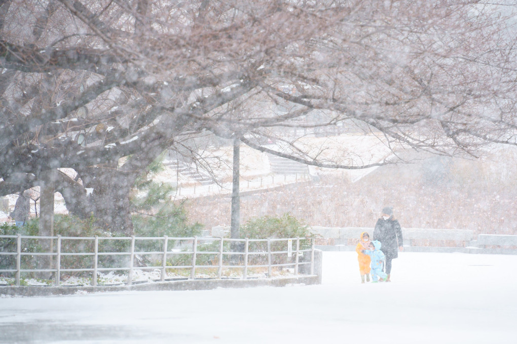 福岡城跡雪景色