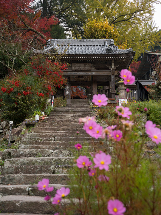 国東巡礼 〜富貴寺