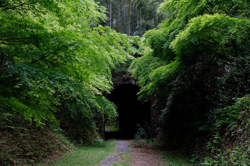 旧船木鉄道 大棚トンネル