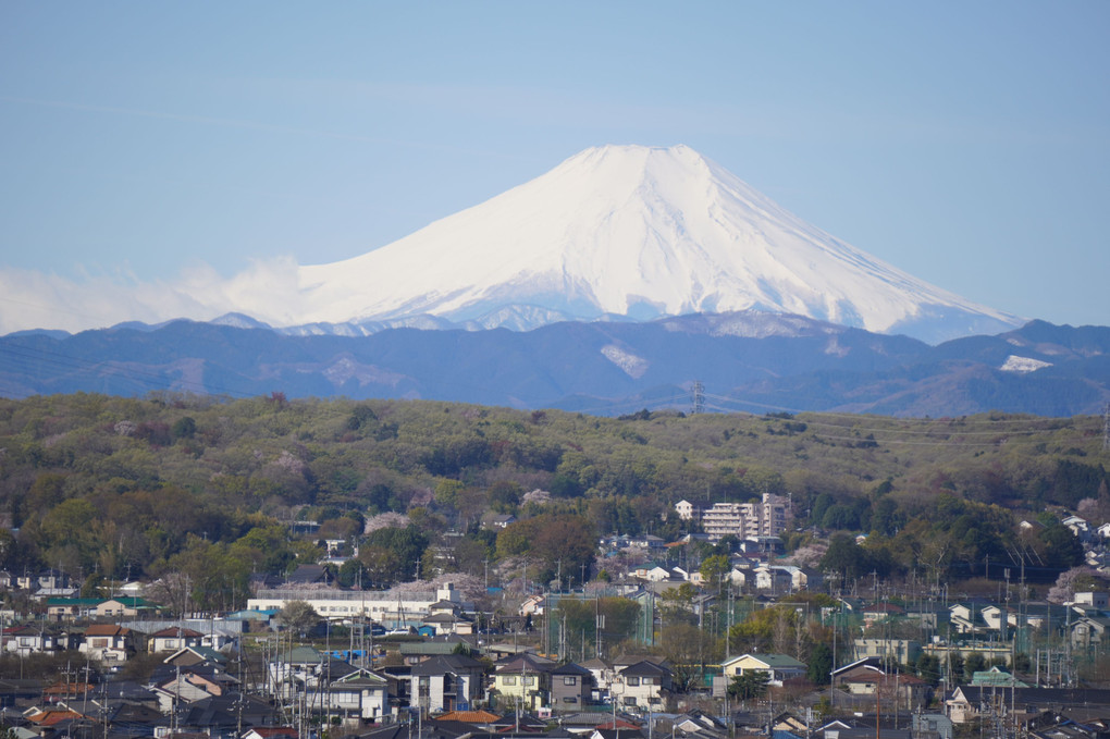 又もや　富士山！　余りにも綺麗なので。