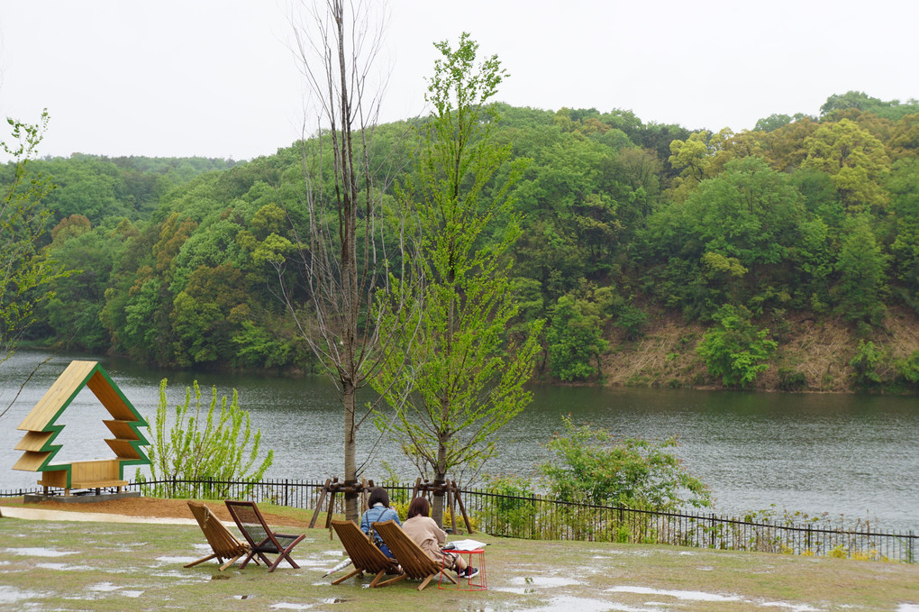 春雨にけぶる「宮沢湖」！！(２）