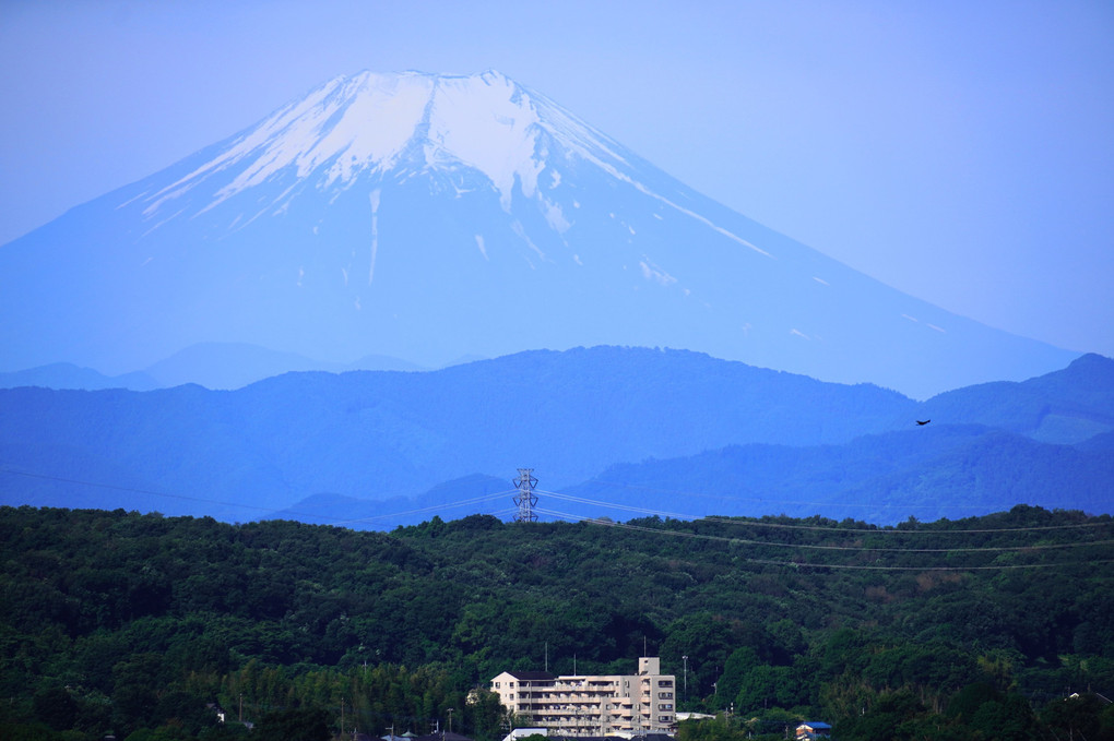 初夏の富士山！！