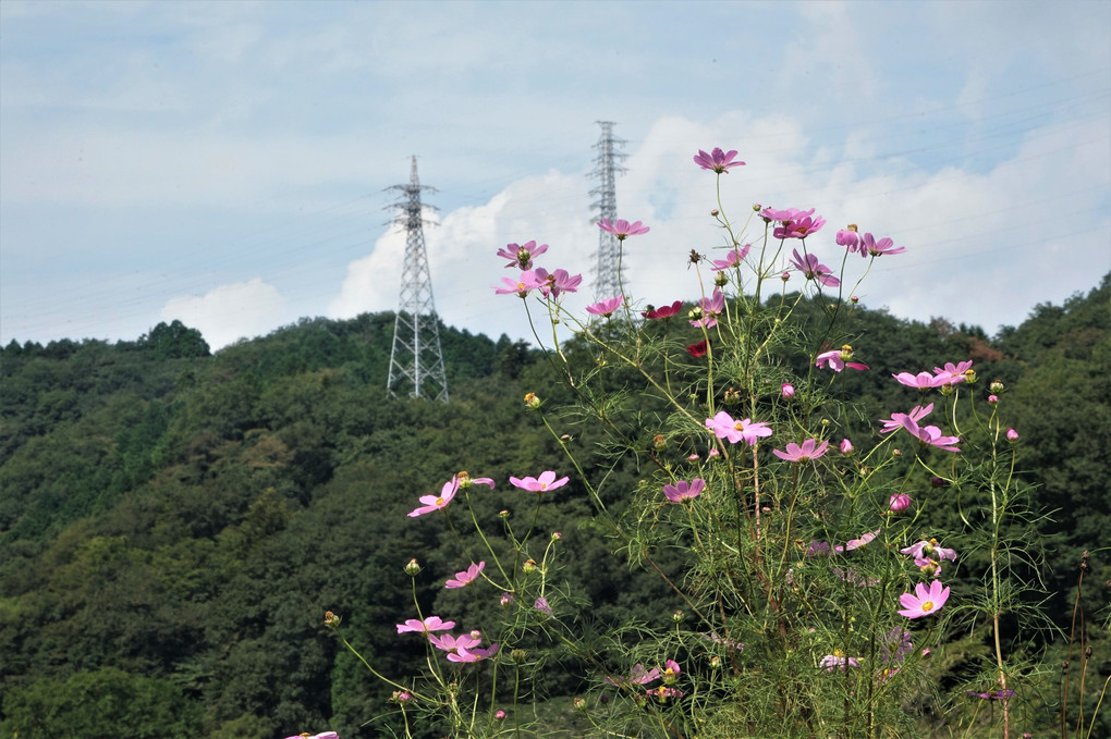 実りの里山