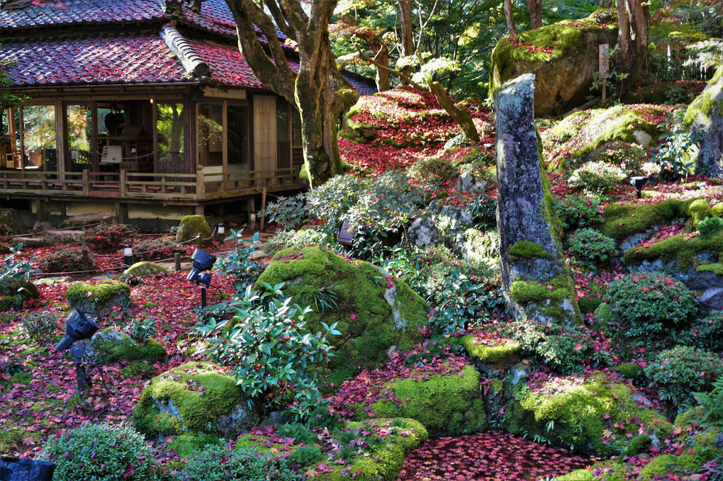 滋賀県・石寺　教林坊の庭園です。
