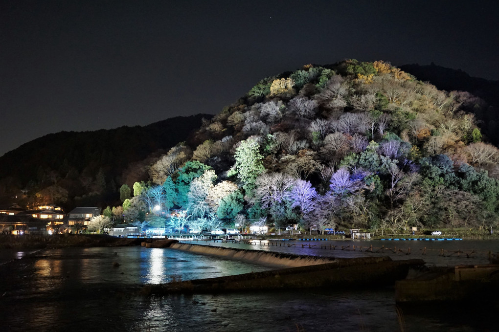 京都嵐山・最後のライトアップ