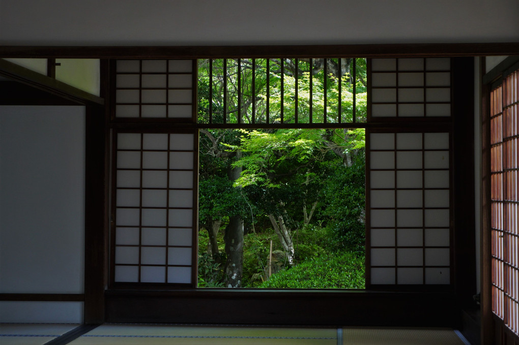 京都の庭園散策