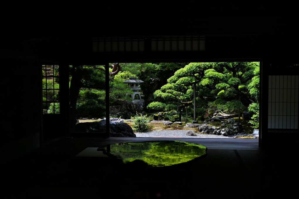京都の庭園散策