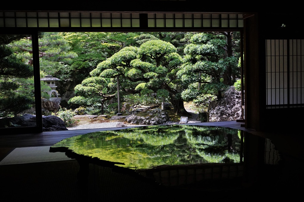 京都の庭園散策