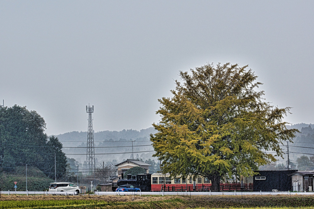 雨の上総久保駅