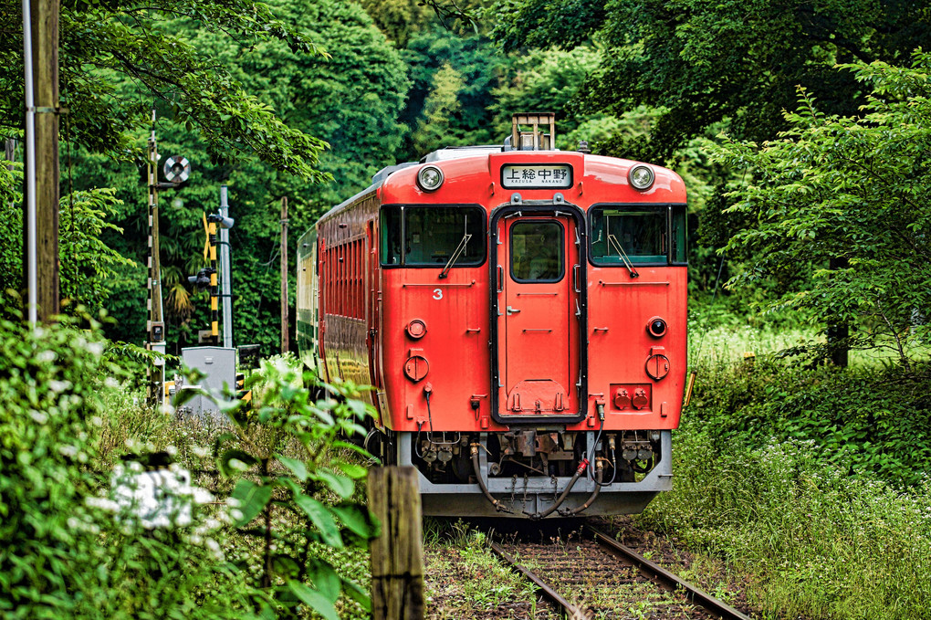 上総中野行き　里山号＆タラコ