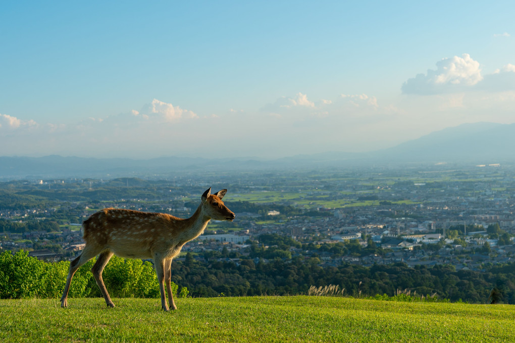 mt．wakakusa　part1