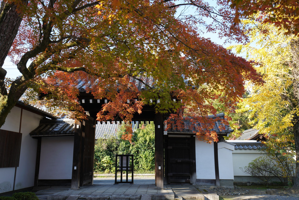 京都　盧山寺