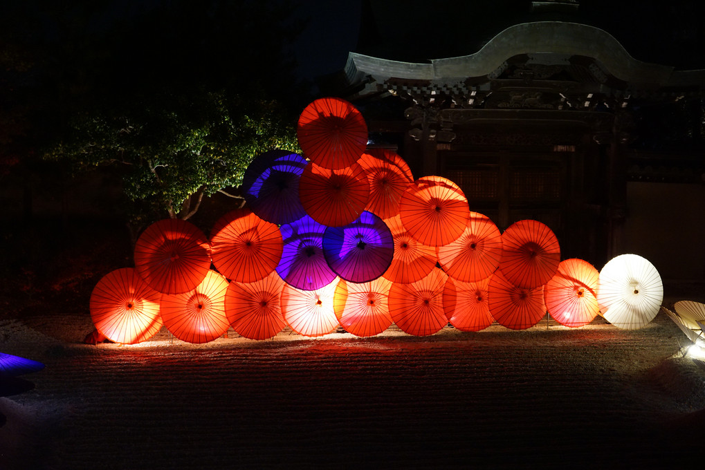 高台寺　方丈前庭にて