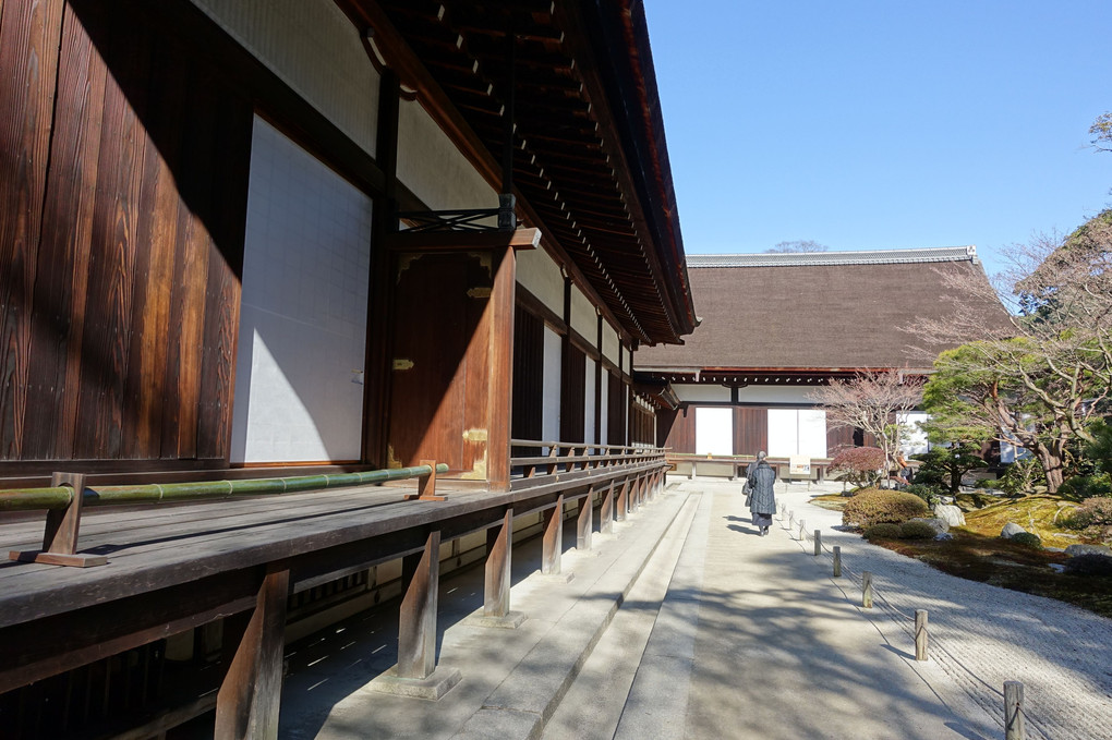 京の冬の旅　知恩院