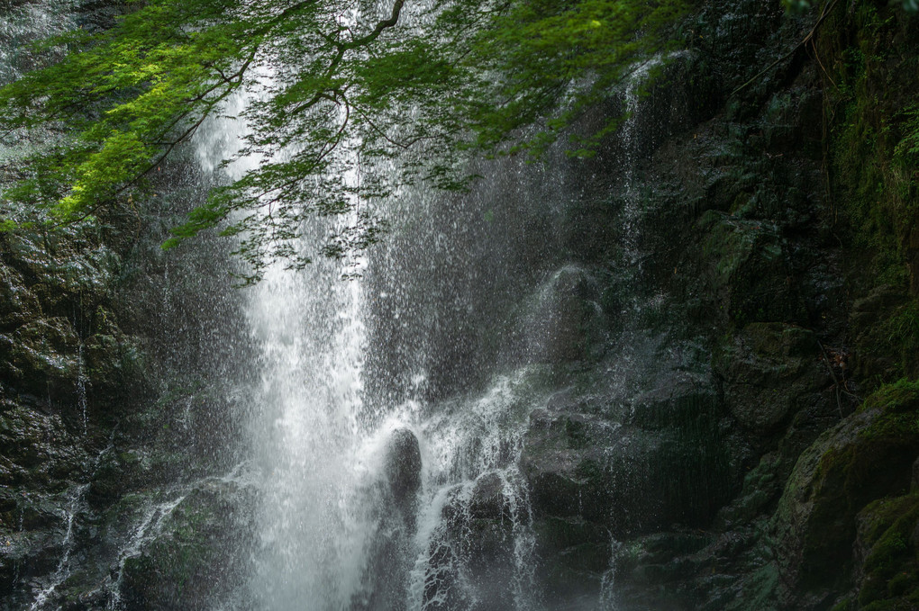 箕面大滝、滝道