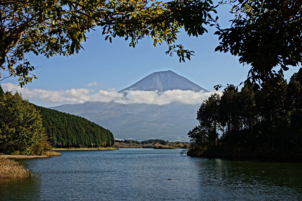 秋の額富士