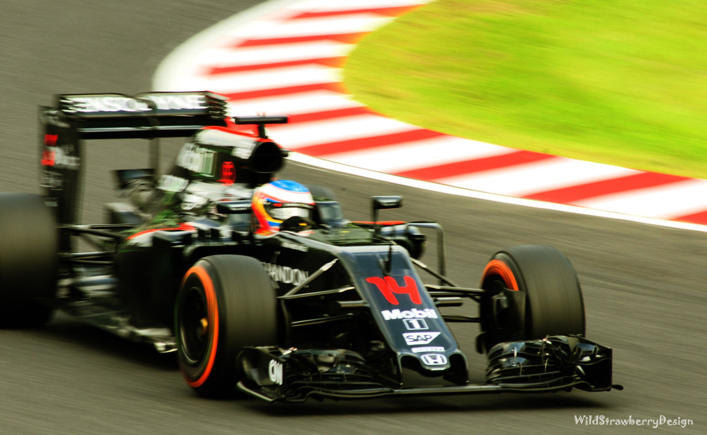 No.14 Fernando Alonso