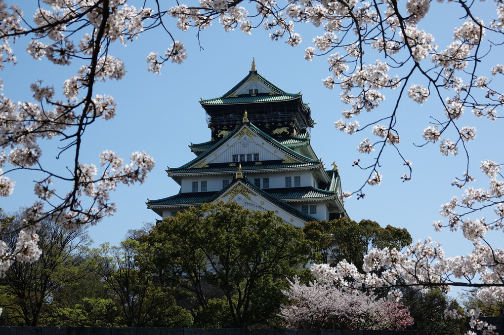 「春爛漫・大阪城」