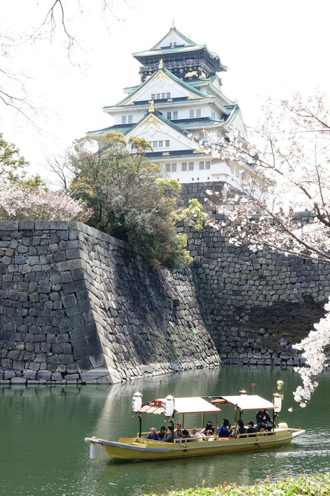 「大阪城と櫻」