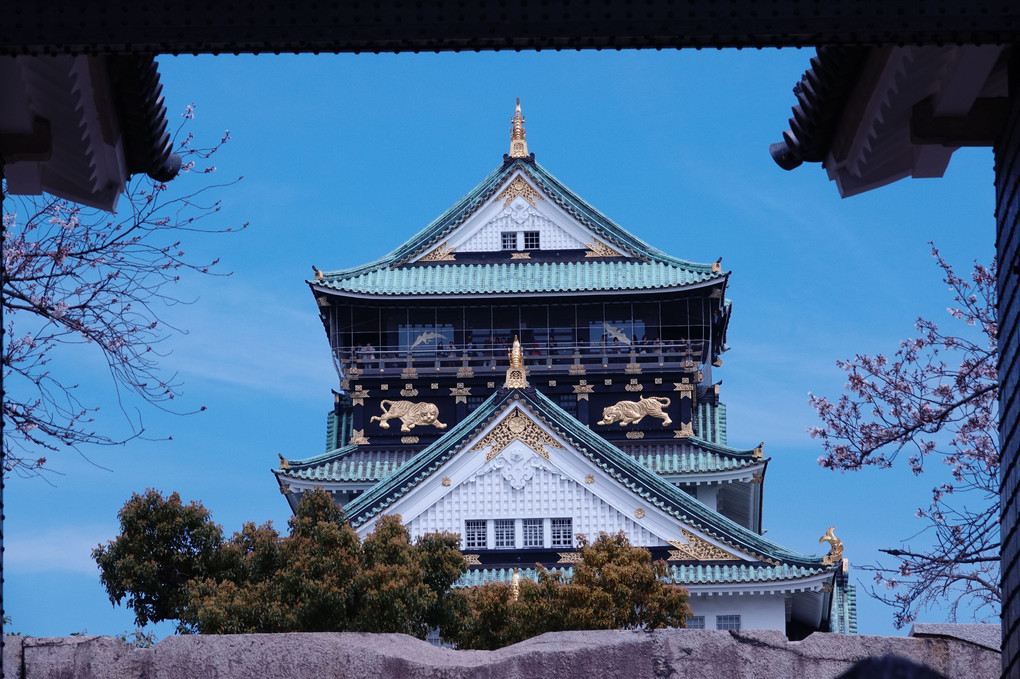 「大阪城と櫻」