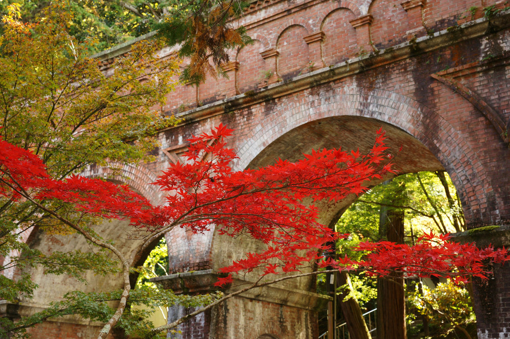 「京都・南禅寺の紅葉」
