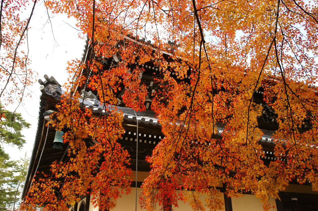 「京都・南禅寺の紅葉」